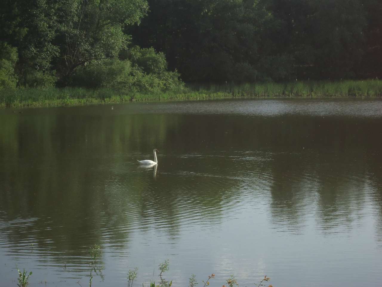 Краєвиди - Красногірка