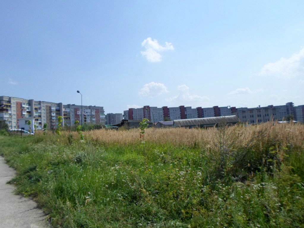 Краєвид - Novyy Rozdil