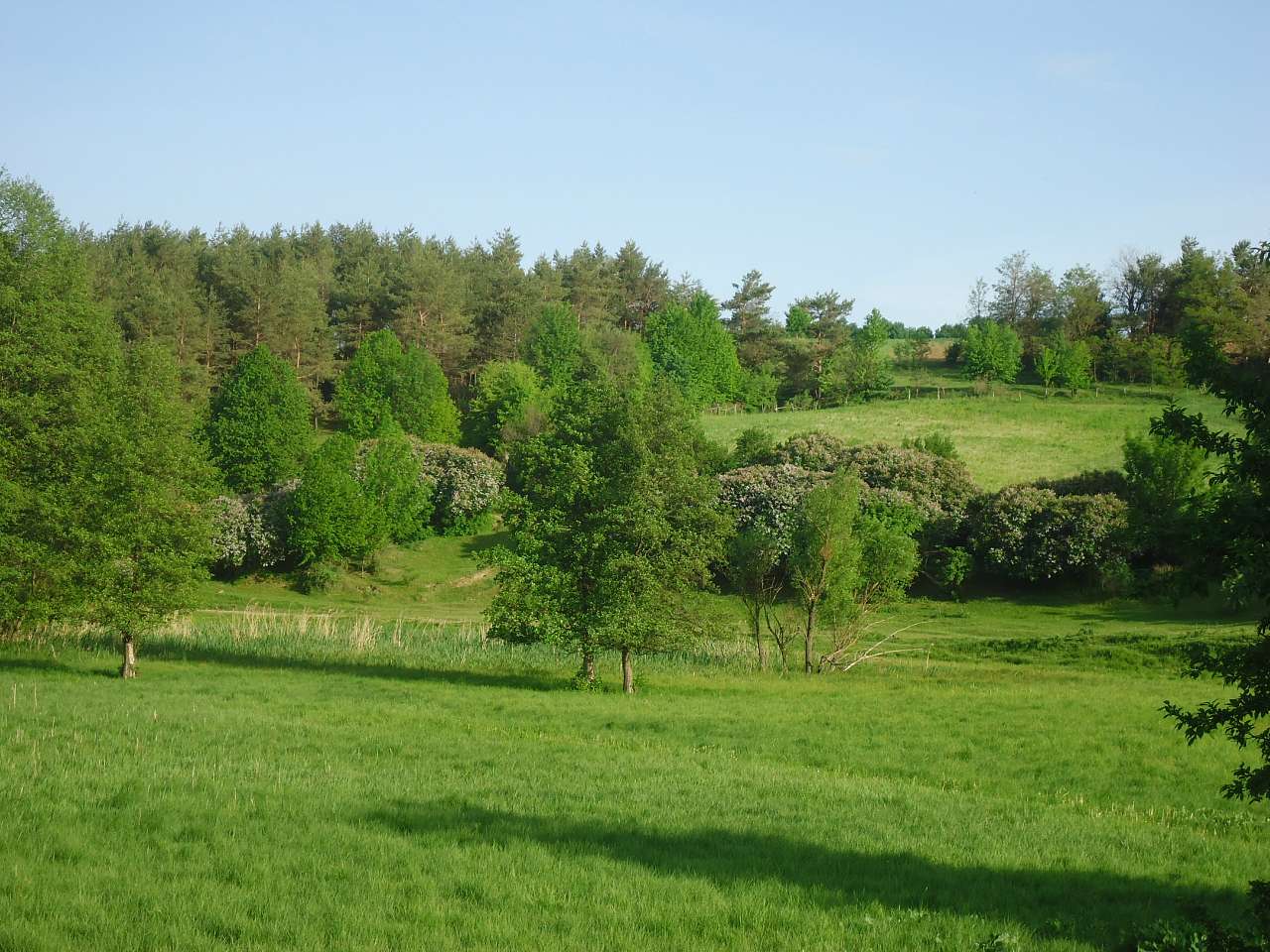 Краєвиди - Красногірка