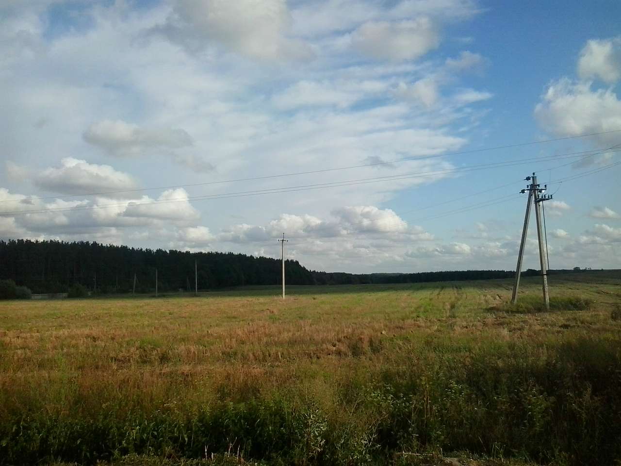 БІЛЯ ЧОРНОГО ОЗЕРА - Петрушки