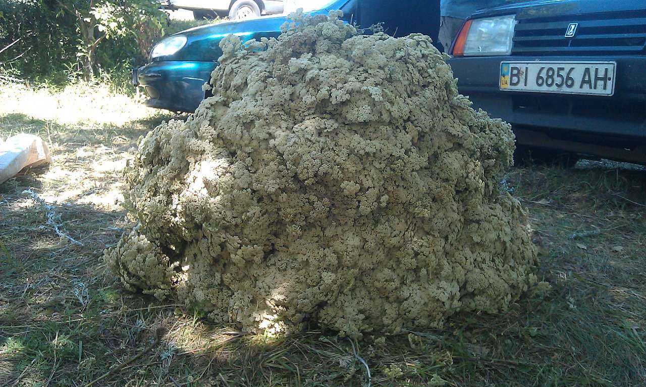 НПП 'Пирятинський' - Харківці