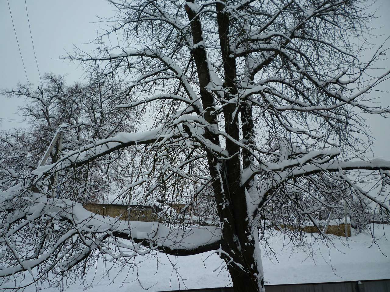 Нівра - Нивра