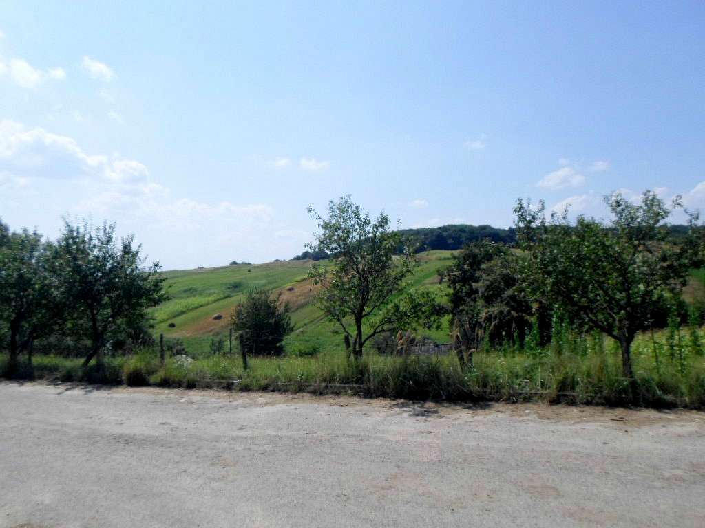 Краєвид - Novyy Rozdil