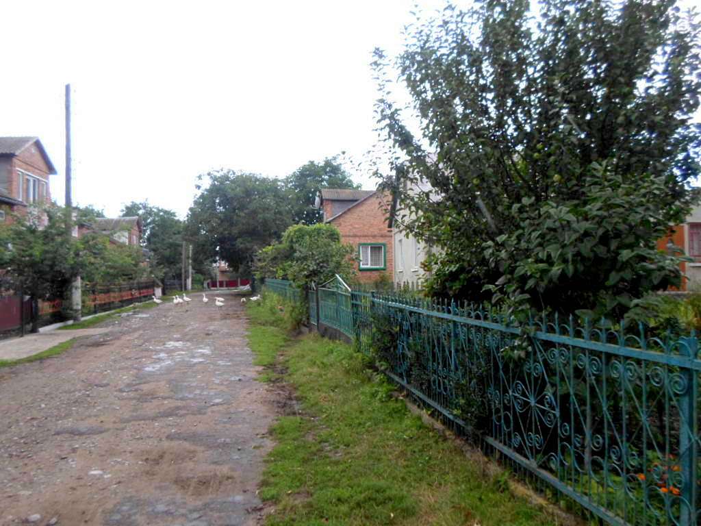 Краєвид - Бояничи