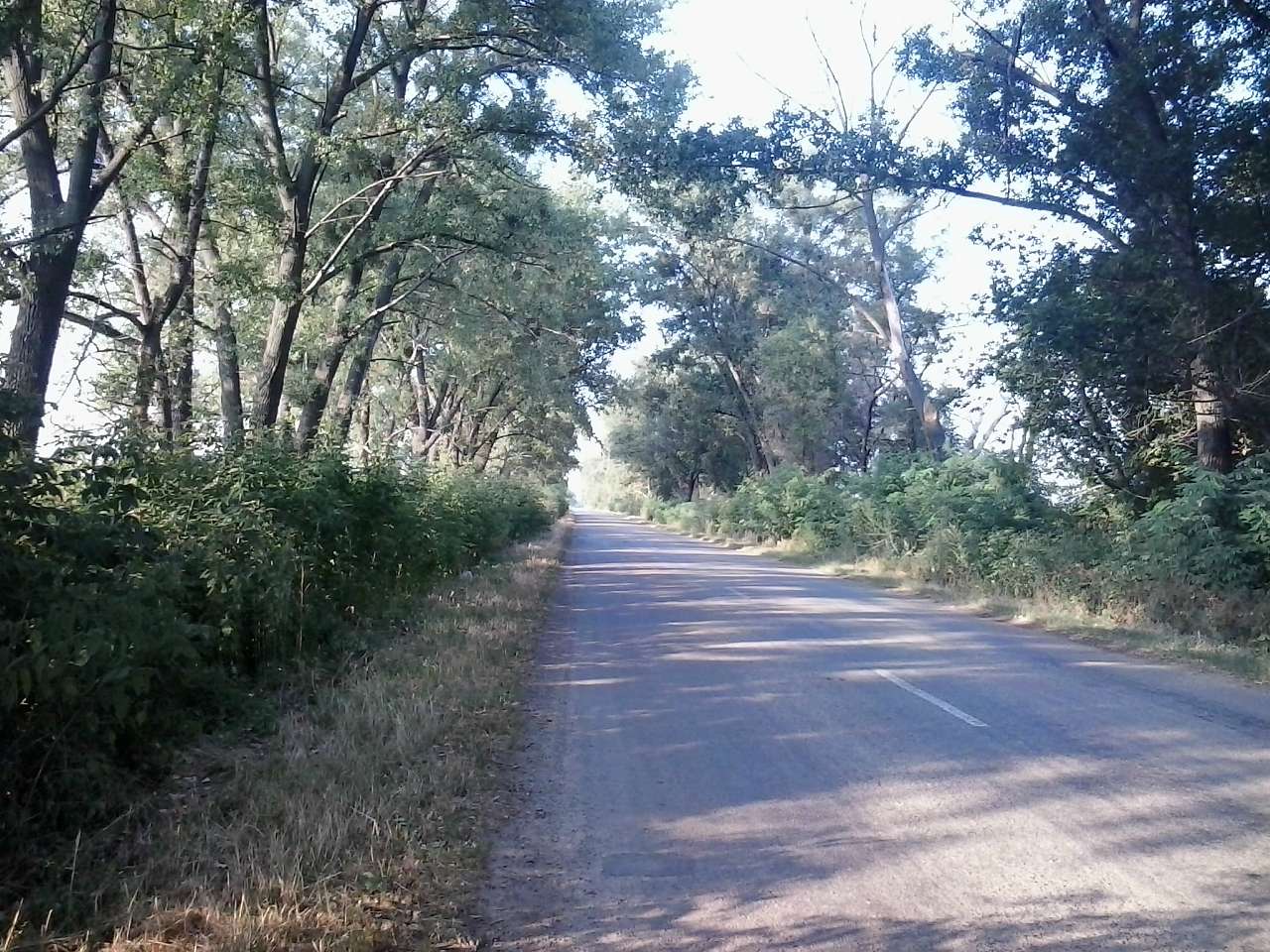 ПО ДОРОЗІ НА БИШІВ - Личанка