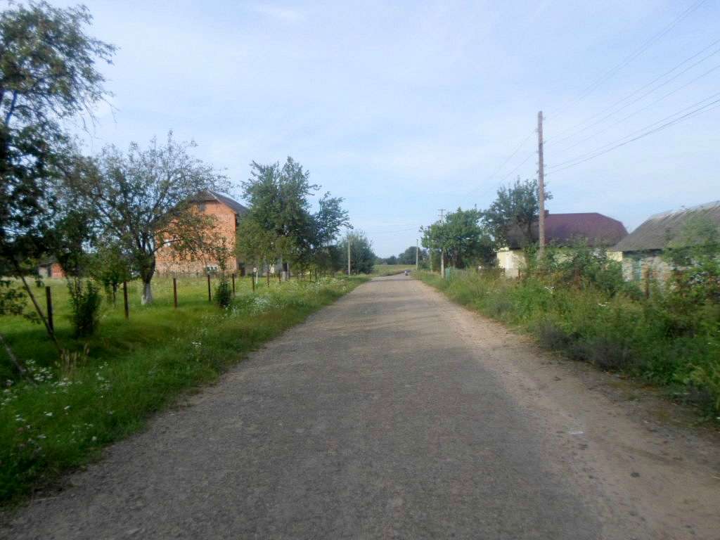 Краєвид - Лотатники