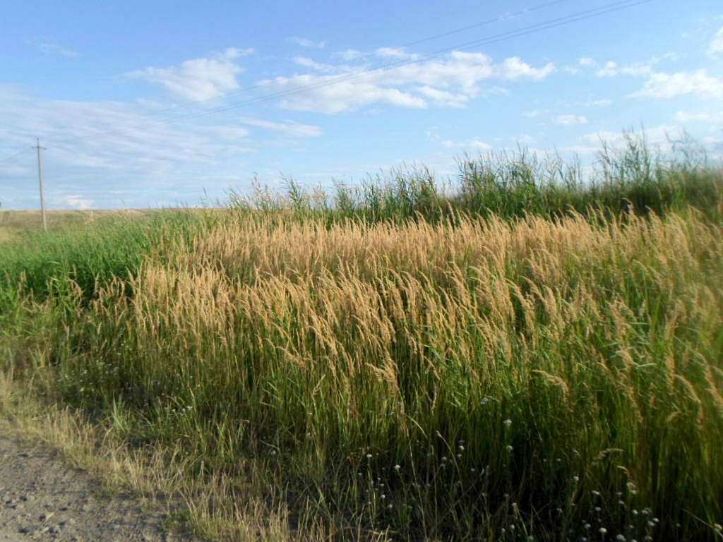 Краєвид - Варяж