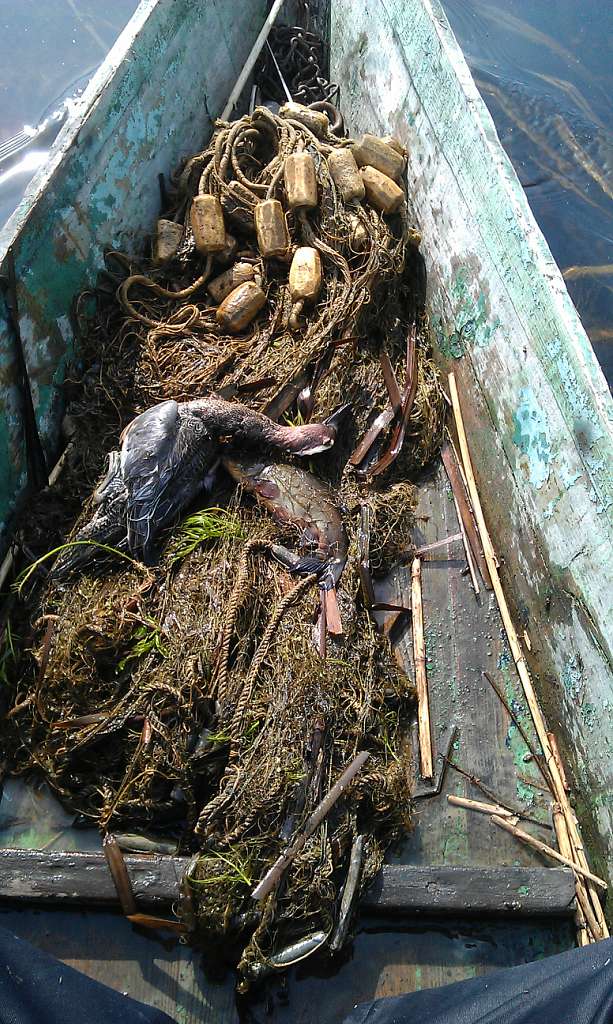 НПП 'Пирятинський' - Харківці