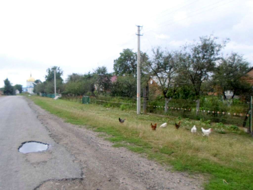 Краєвид - Опильско