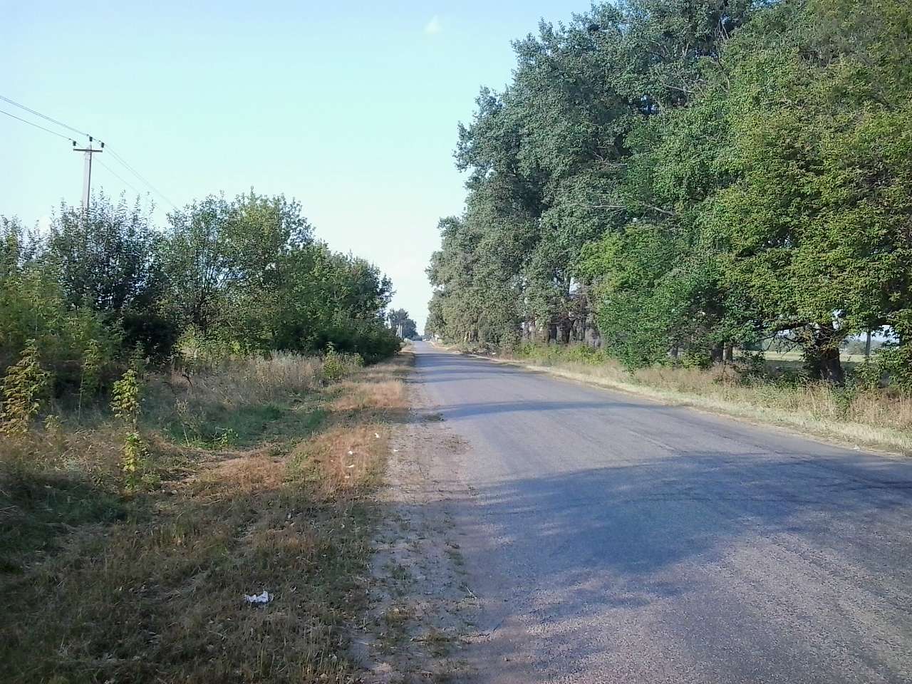 ПО ДОРОЗІ НА БИШІВ - Личанка