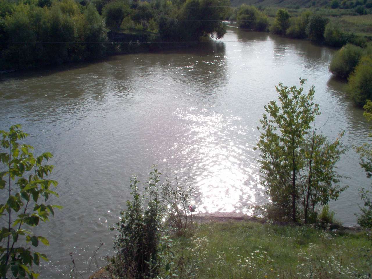 Нівра - Нивра