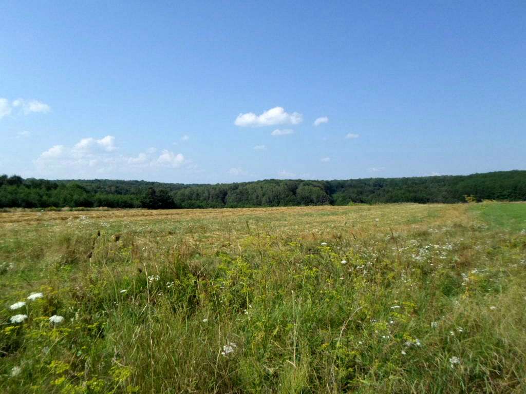 Краєвид - Новый Роздол