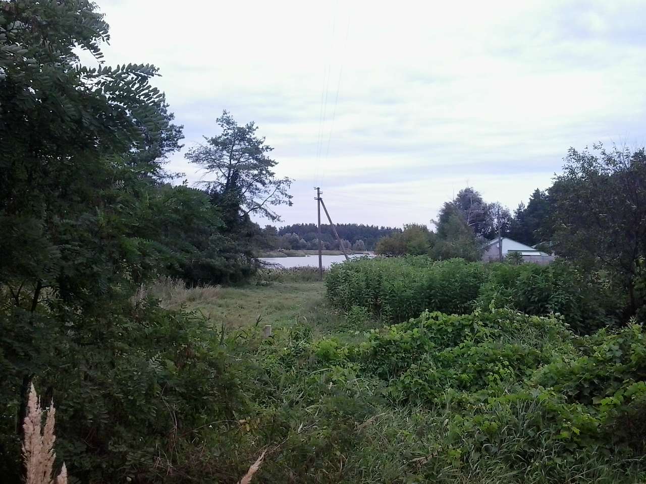 БІЛЯ ШЛЯХУ У ЄВРОПУ - Бузова