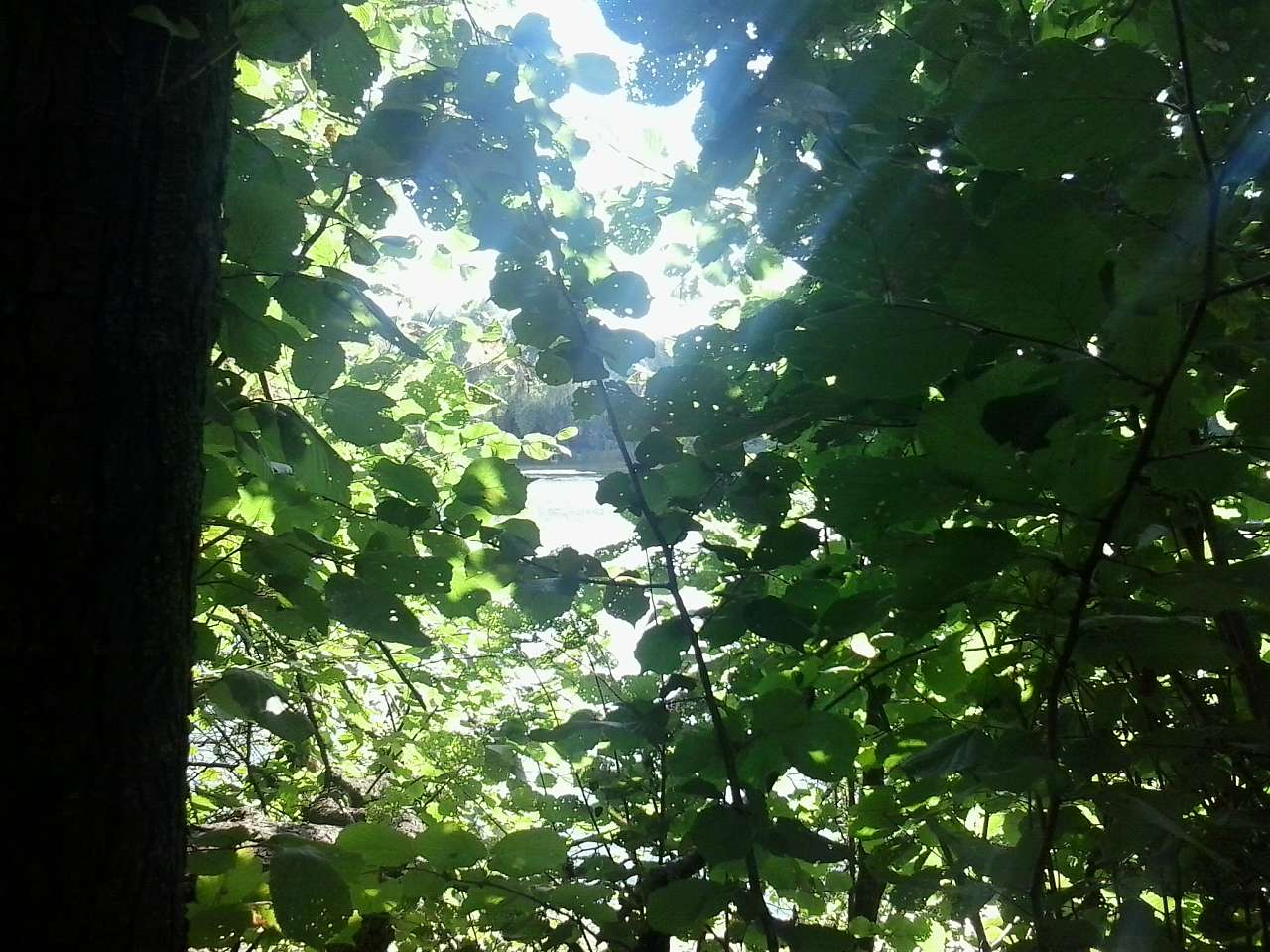 БІЛЯ ЧОРНОГО ОЗЕРА - Петрушки