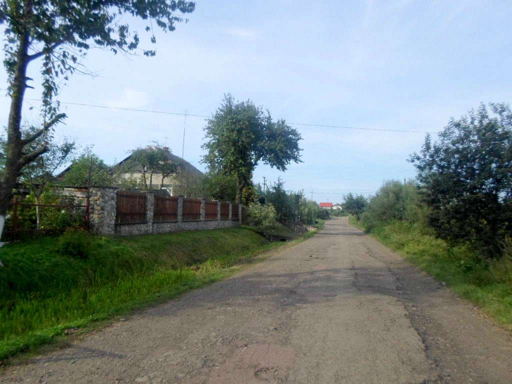 Краєвид - Лотатники
