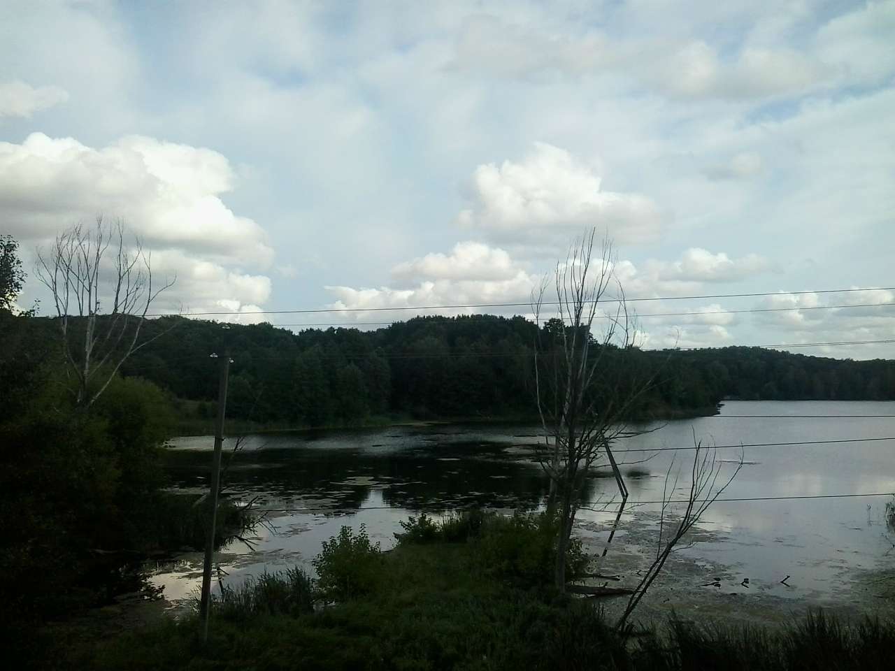 БІЛЯ ЧОРНОГО ОЗЕРА - Петрушки