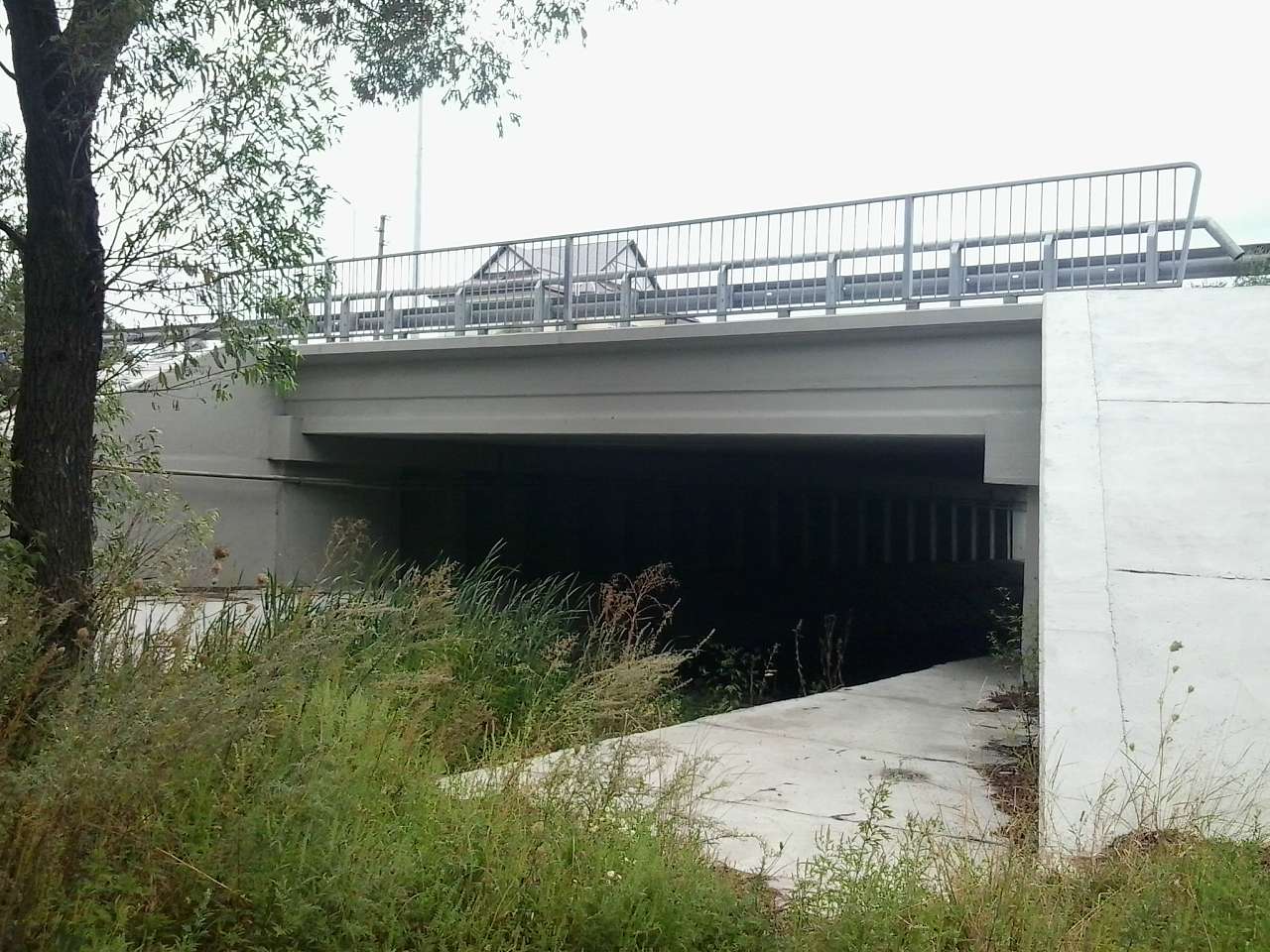 БІЛЯ ШЛЯХУ У ЄВРОПУ - Бузова