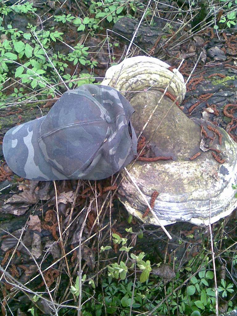 НПП 'Пирятинський' - Кейбалівка