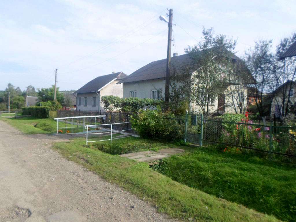 Краєвид - Лотатники