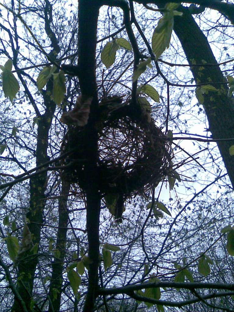 НПП 'Пирятинський' - Кейбалівка