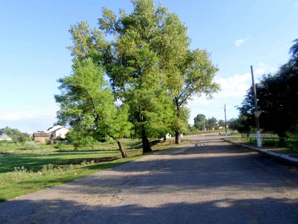 Краєвид - Варяж