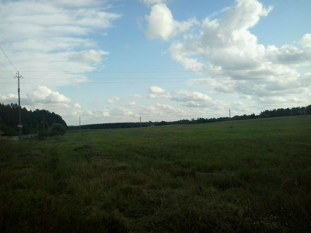 БІЛЯ ЧОРНОГО ОЗЕРА - Петрушки