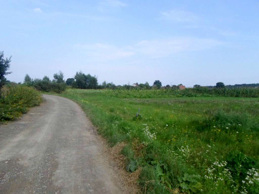 краєвид - Острів