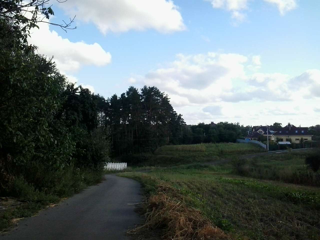 ПО ВУЛИЦІ ШЕВЧЕНКА - Шпитьки