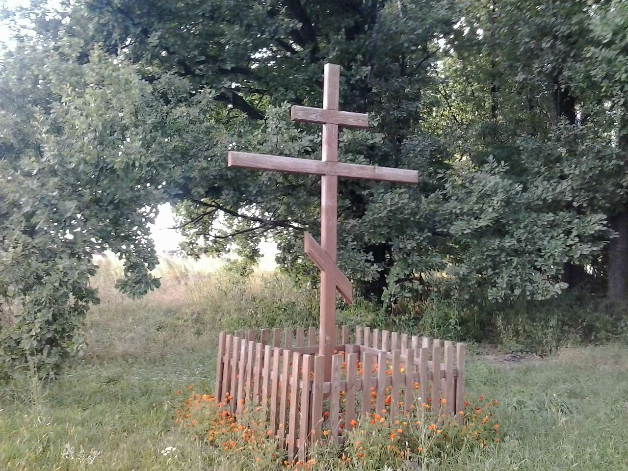 Наші фото - Петрушки