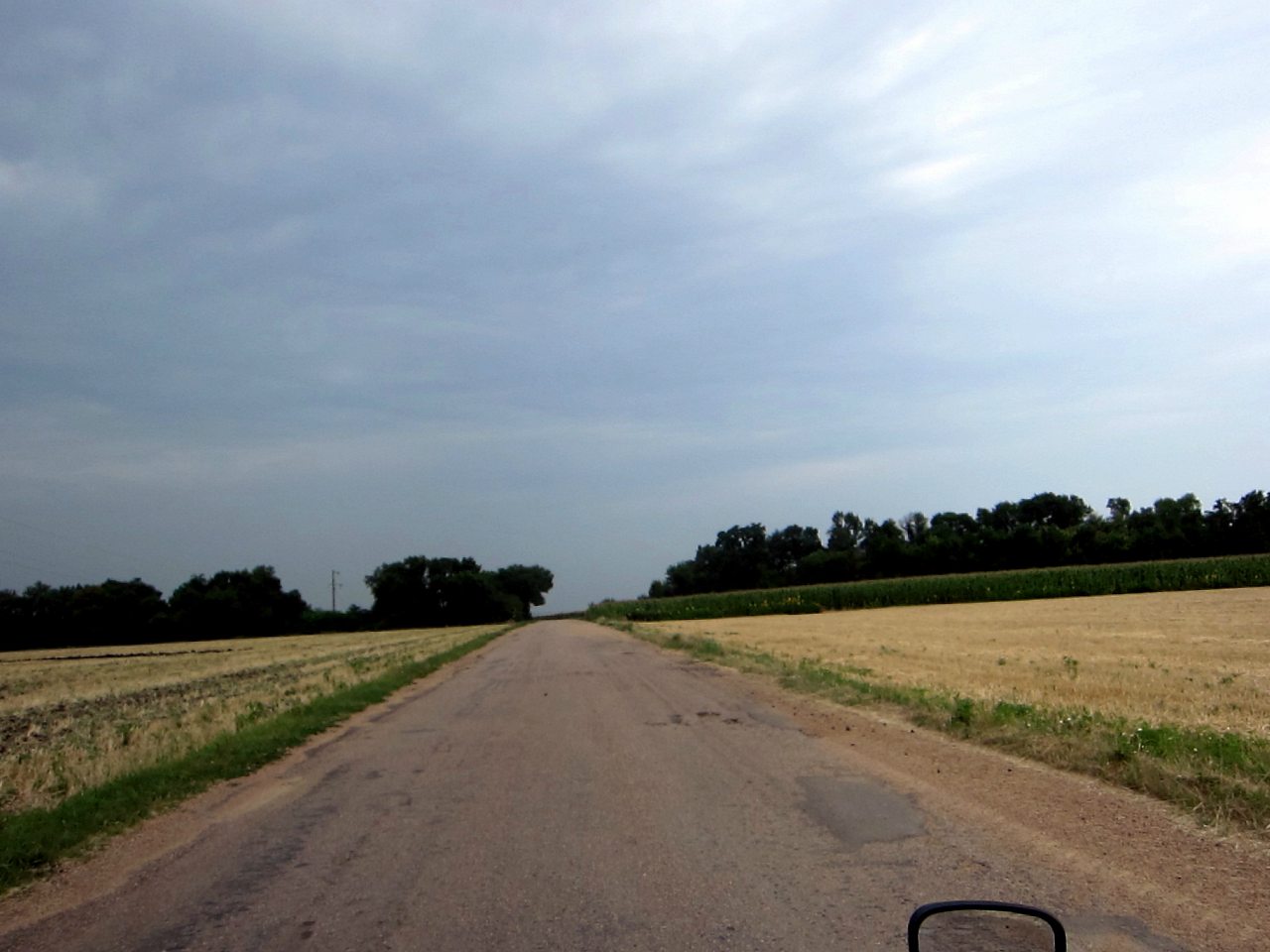 Поля Кіровоградщини - Глодоси