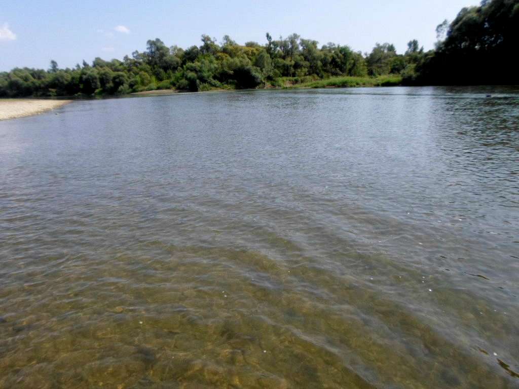 Річка Стрий - Кути