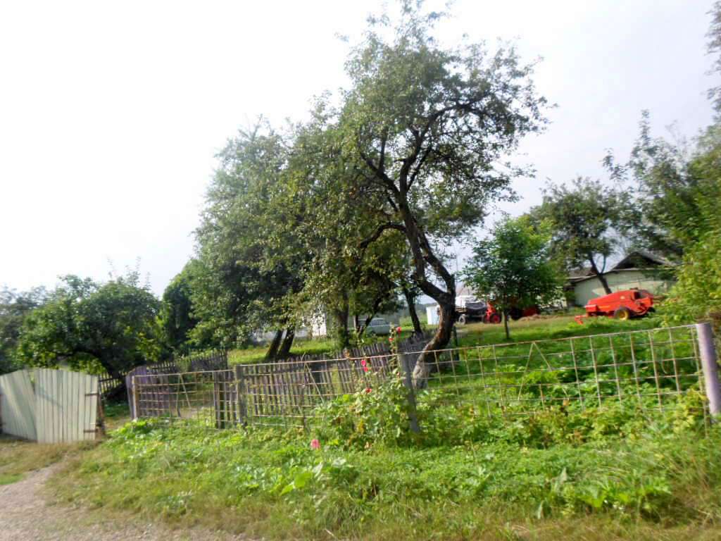 краєвид - Острів