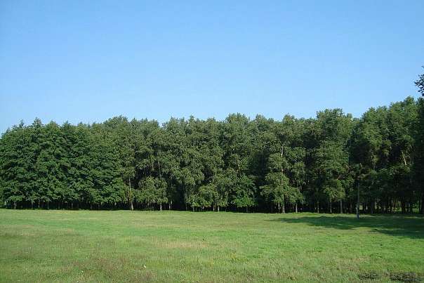 Гродзеве - Гродзево