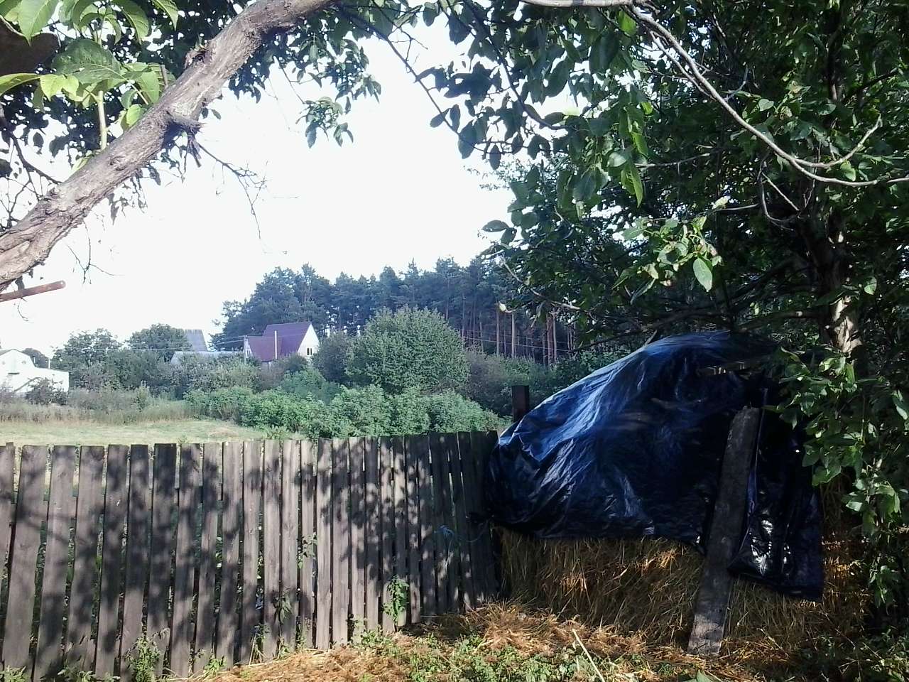 ПО ВУЛИЦІ ШЕВЧЕНКА - Шпитьки