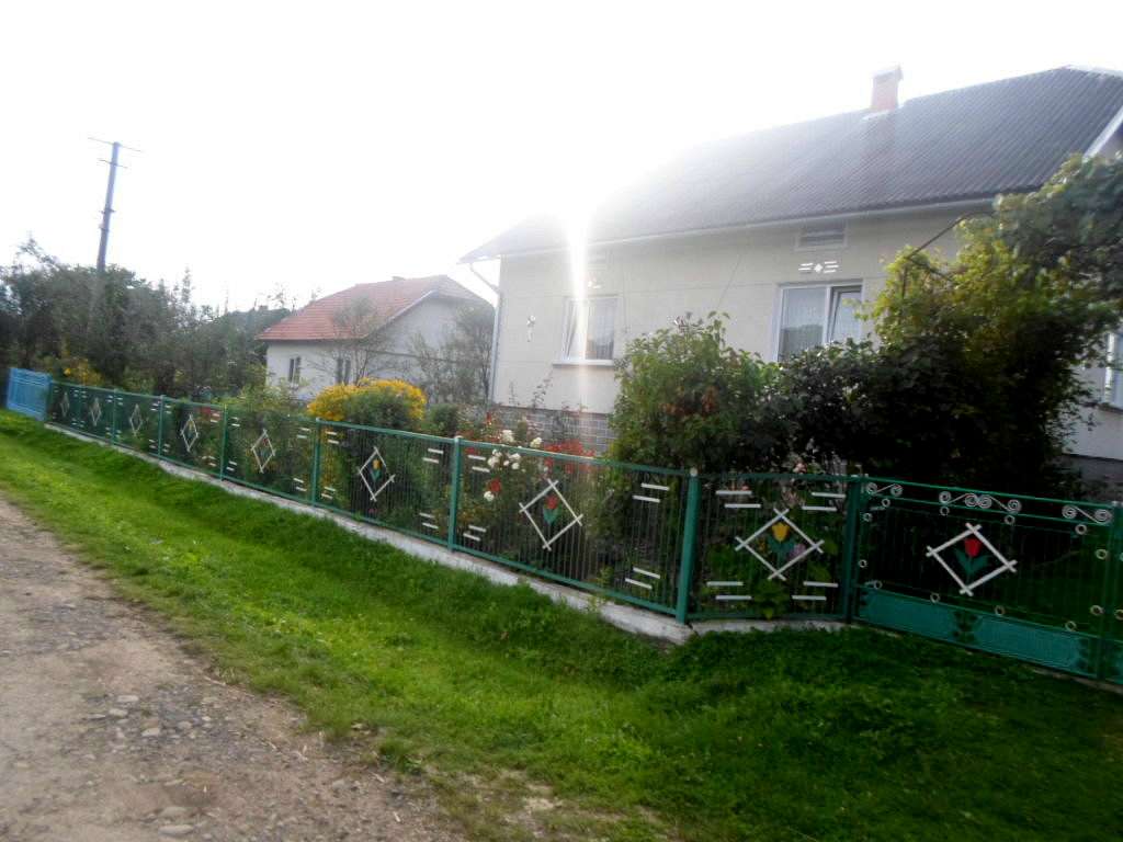 Краєвид - Лотатники