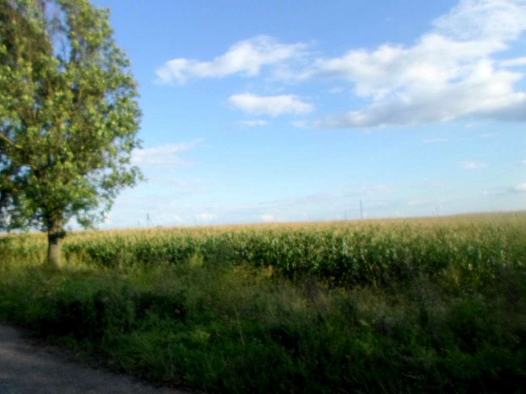 Краєвид - Опільсько