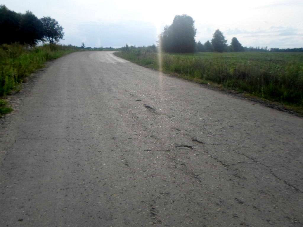 Краєвид - Лотатники