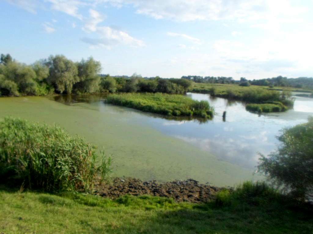 Озеро - Забужжя