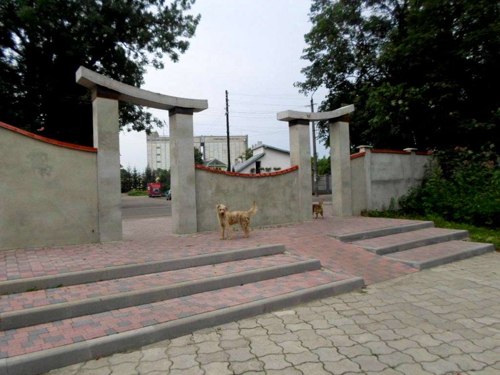 парки - Стрый
