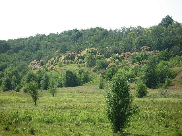 Гродзеве - Гродзево