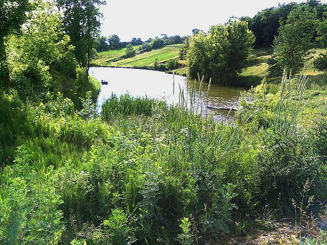 Гродзеве - Grodzeve