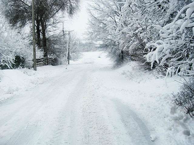 Гродзеве - Гродзево