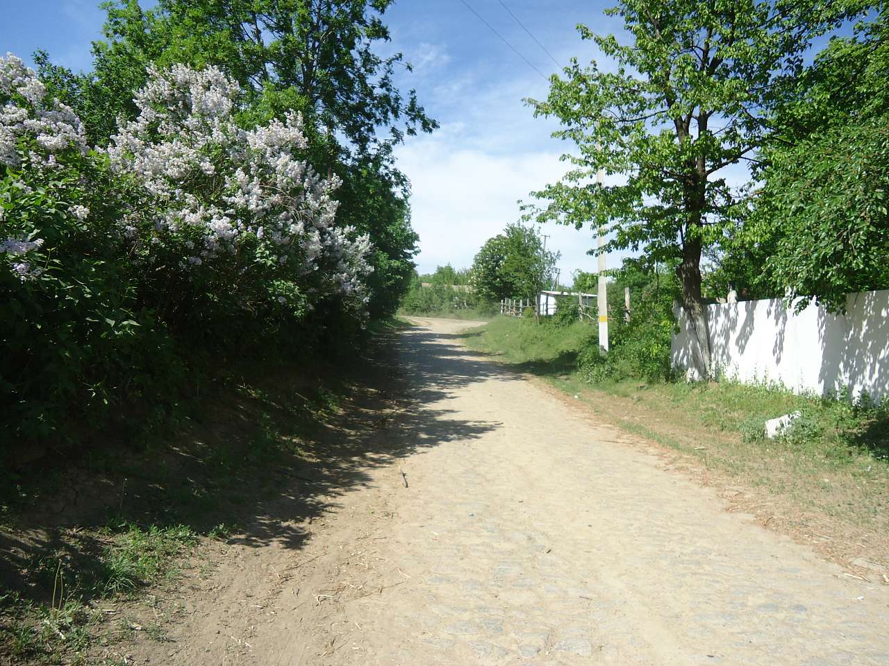 Краєвиди - Красногірка