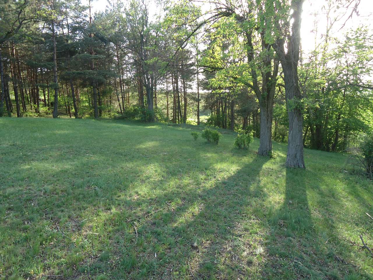 Краєвиди - Красногірка