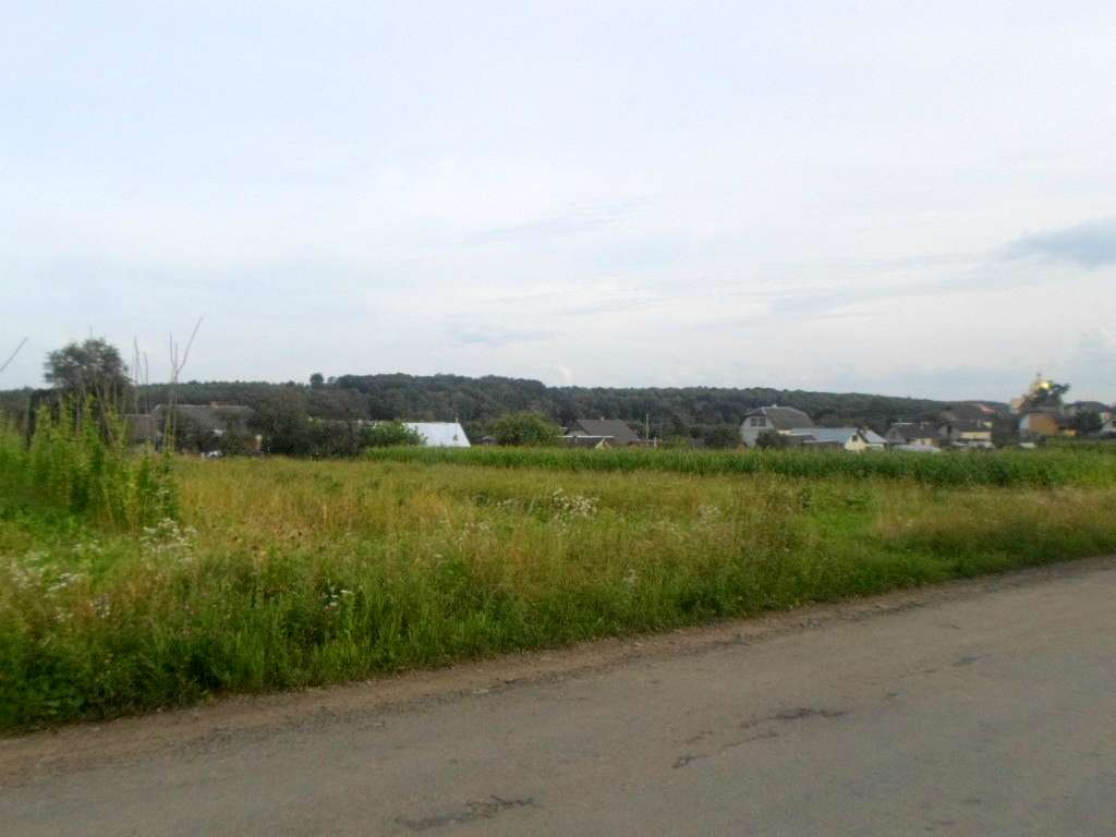 Краєвид - Лотатники