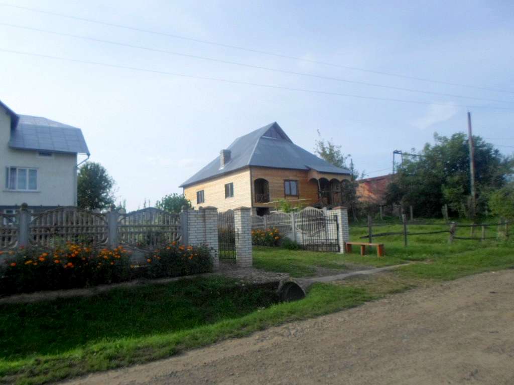 Краєвид - Лотатники