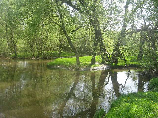 Гродзеве - Grodzeve