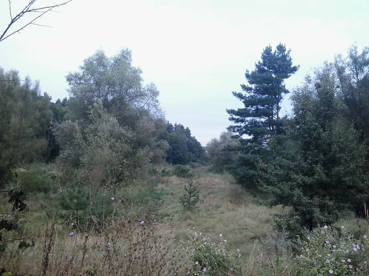 БІЛЯ ОЗЕРА - Любимівка