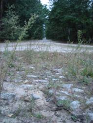 Лошакова Гута з panoramio.com