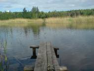 Волосківці з panoramio.com